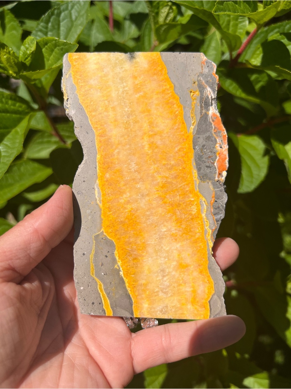 Bumblebee (4) Jasper slab with stand | crystal